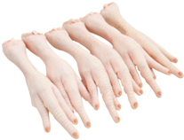 Chicken Feet