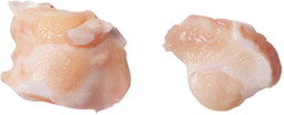 Knee Chicken Cartilage