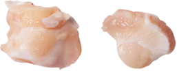 Cartilagine Ginocchio di Pollo